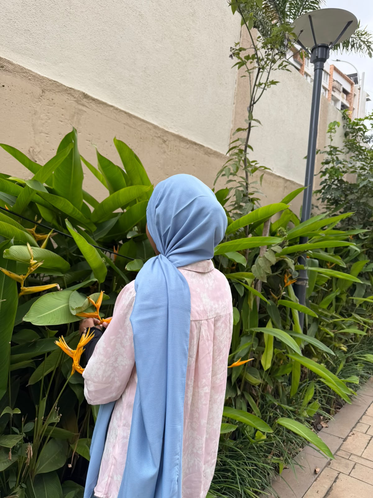 Modal Cotton Hijab | Dark denim colour| 2 Meter