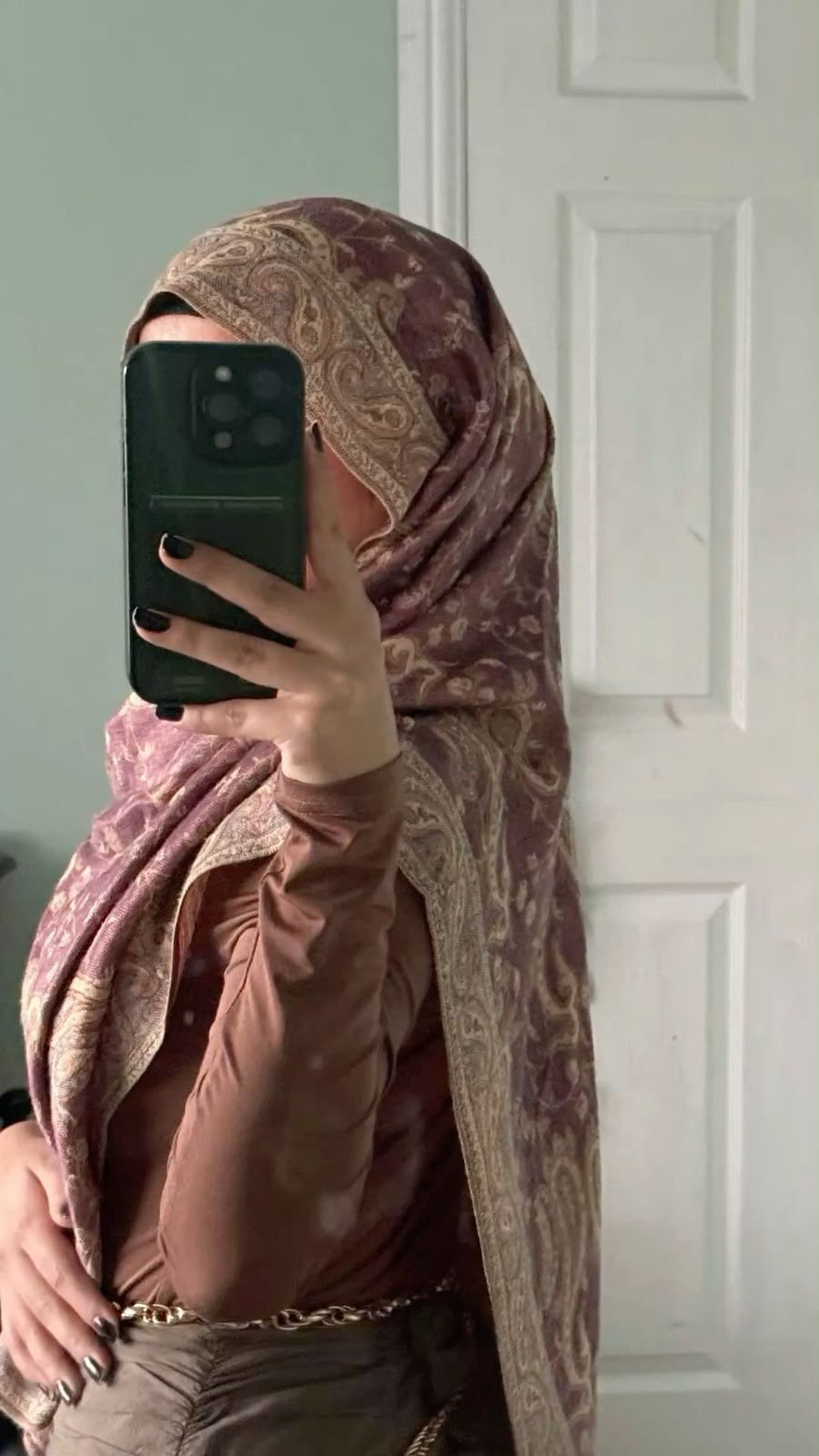 Premium Pink Pashmina Shawl